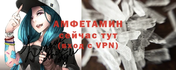 дурь Пестово