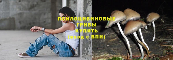 дурь Пестово
