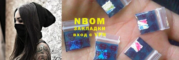 дурь Пестово
