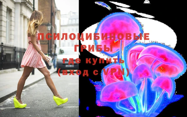 дурь Пестово