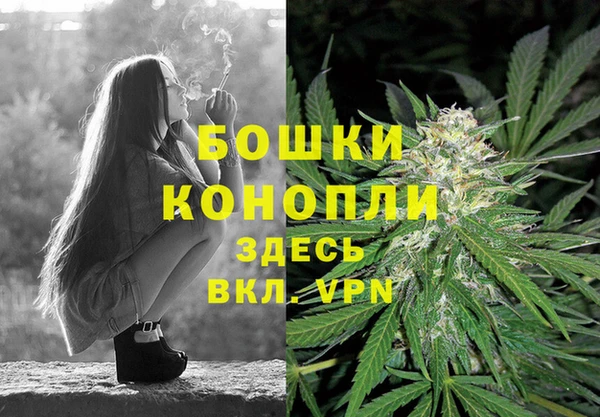 сатива Видное