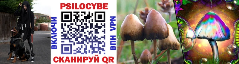 Псилоцибиновые грибы Psilocybe  как найти закладки  Богучар 